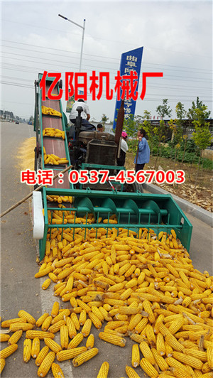 点击查看详细信息　标题：全自动玉米脱粒机 YY-830-2型 阅读次数：12682